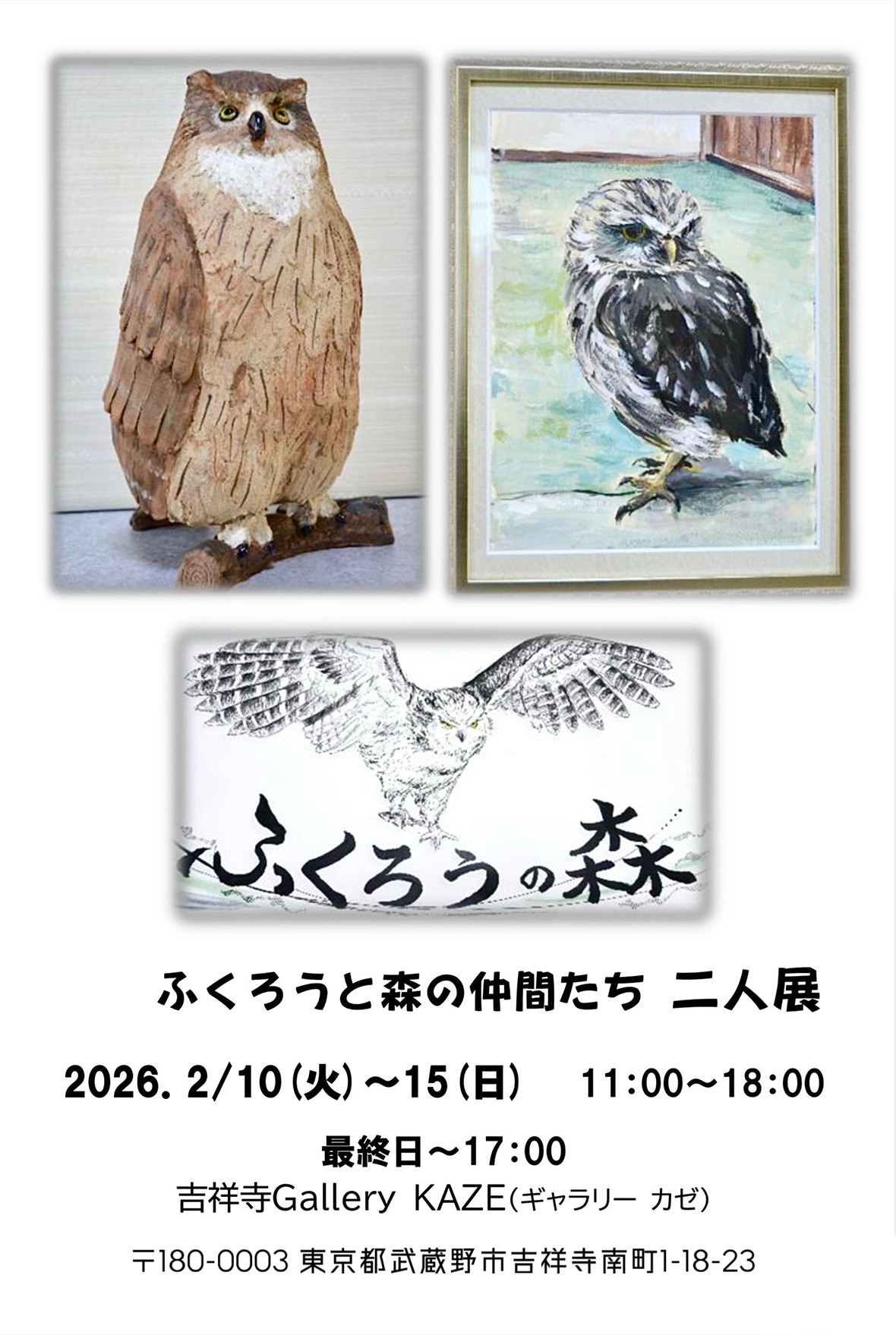 藤川 章『ふくろうの森』ふくろうとその仲間たち